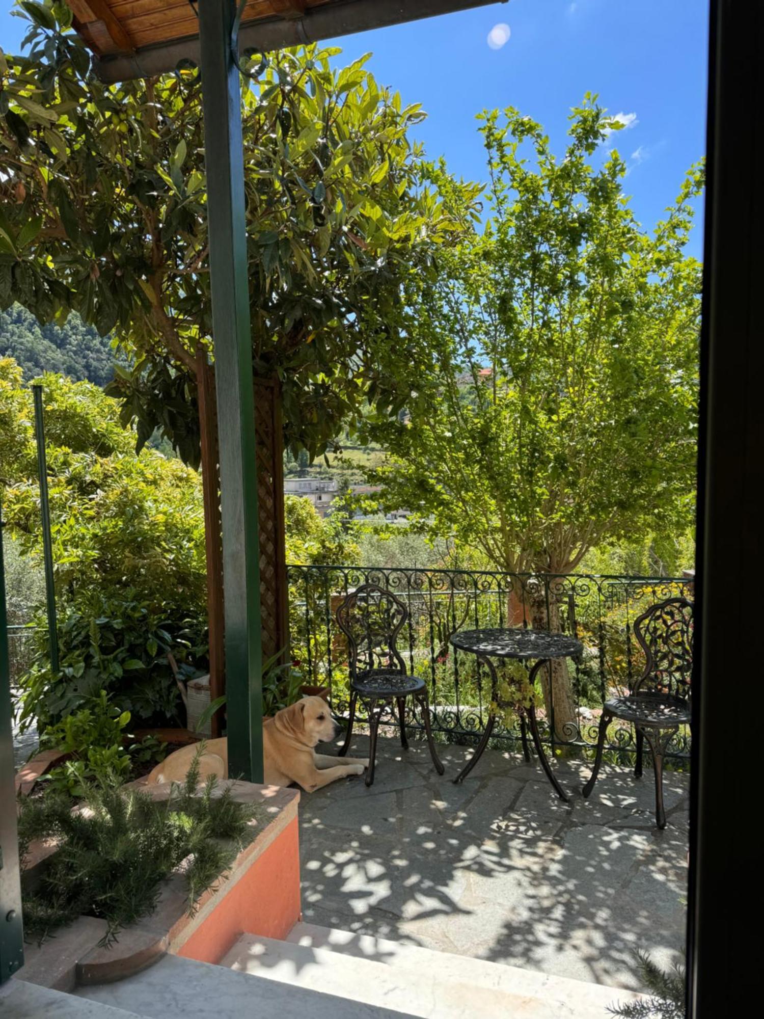 Ferienwohnung “Da Gio” In Un Antico Borgo Di Genova Exterior foto
